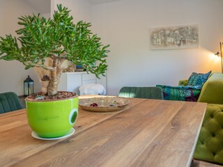 Villa Santalezi Caratteristiche 20