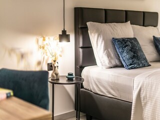 Villa Sveti Petar u Šumi Caratteristiche 33