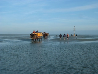Appartement de vacances Duhnen  32