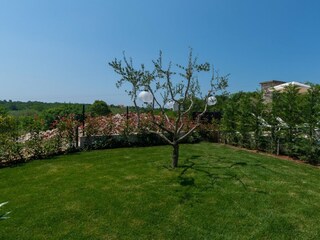 Villa Sveta Marija Na Krasu Omgeving 31