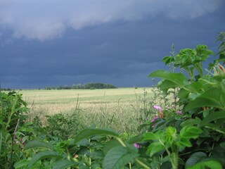 ...ein Sommernachmittag vor dem Gewitter