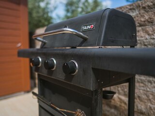 Villa Galižana Registrazione all'aperto 17