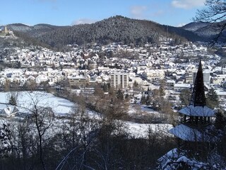 Blick auf das verschneite Biedenkopf