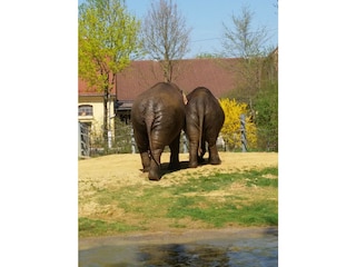 Augsburger Zoo