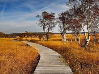 Castle Spa Environment 30