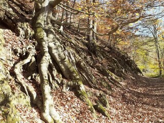 Schloss Spa Umgebung 33