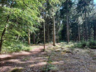 Schloss Spa Umgebung 24