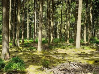 Castillo Spa Entorno 31