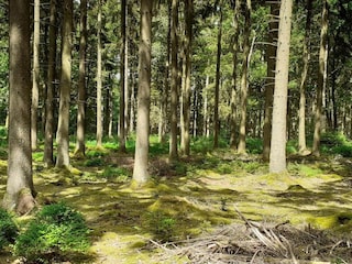 Schloss Spa Umgebung 33