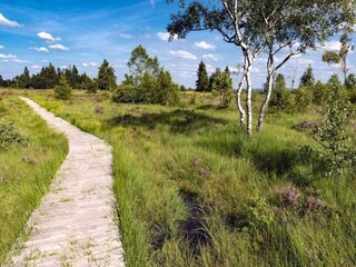 Castello Spa Ambiente 32