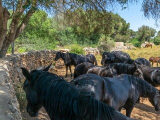 Villa Cala Blanca Buitenaudio-opname 20