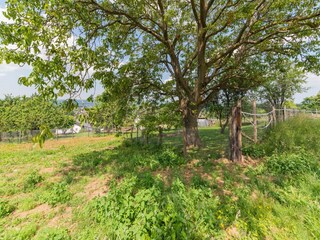 Vakantiehuis Marche-en-Famenne Omgeving 37