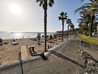 Appartement Playa de las Américas Omgeving 32