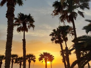 Appartement Playa de las Américas Environnement 39