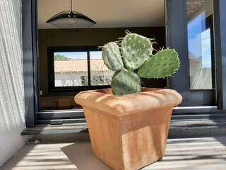 Villa Pouzols Minervois  40