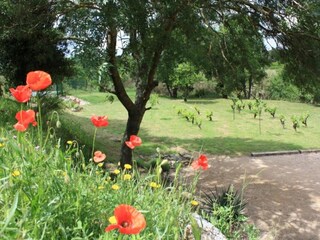 Villa Pouzols Minervois Environnement 37