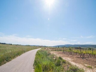 Villa Pouzols Minervois Omgeving 28