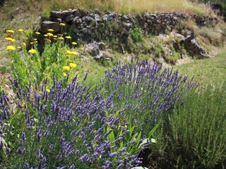 Villa Pouzols Minervois Environnement 37
