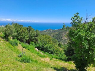 Appartement Vezzi Portio Omgeving 32