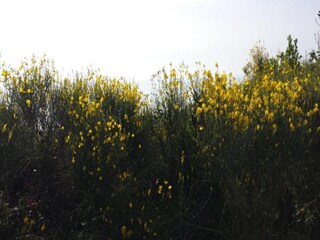 Appartement Vezzi Portio Omgeving 34