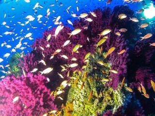 Appartamento Vezzi Portio Ambiente 38