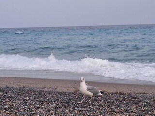 Appartement Vezzi Portio Omgeving 38