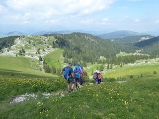 Apartment Valle di Cadore Environment 30