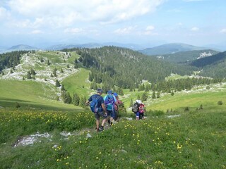 Appartamento Valle di Cadore Ambiente 42