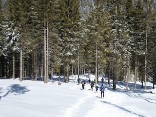 Apartment Carano Umgebung 23