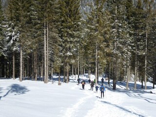 Appartement Carano Omgeving 23