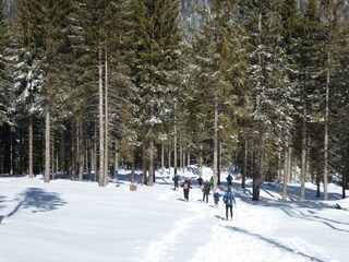 Appartement Carano Omgeving 25