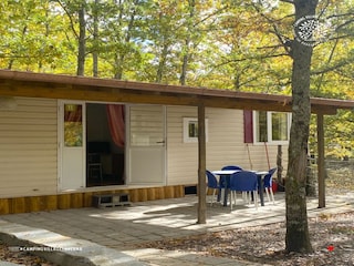 Trailer Bibbiena Outdoor Recording 7