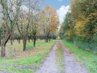Casa de vacaciones Ermelo Entorno 21