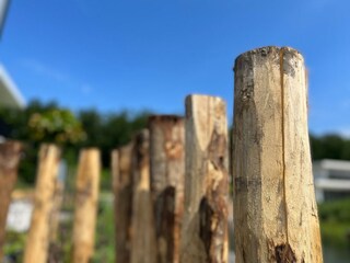 Villa Biddinghuizen  38