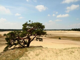 Villa Biddinghuizen Environment 29