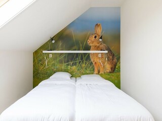 Vakantiehuis Nes Kenmerken 33