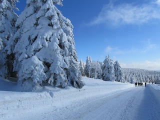 Vakantieappartement Wernigerode Omgeving 18