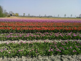 Vakantiehuis Sint Maartenszee Omgeving 13