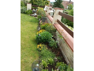 IMG_20250601_104533~2