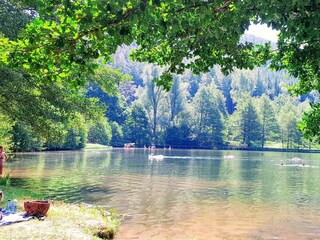 Helmbachweiher unweit von Esthal