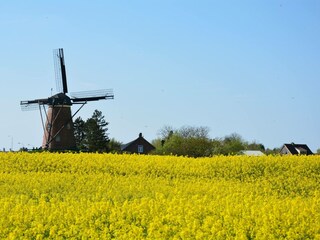 Bungalow Cadzand-Bad Ambiente 25