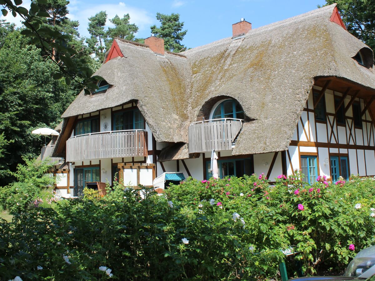 Südseite mit Balkon