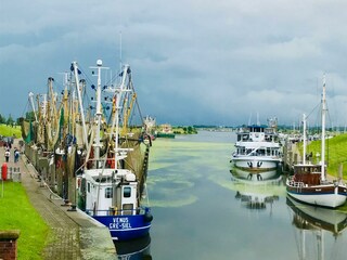 Greetsieler Hafen