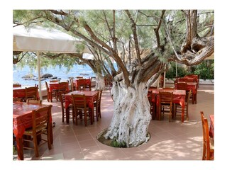 Casa per le vacanze Plakias Ambiente 18