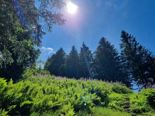 Alpina Aufstieg Haustour