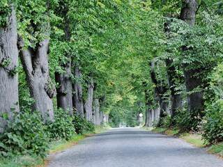 Casa per le vacanze Zudar Registrazione all'aperto 6