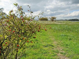Vakantiehuis Zudar Buitenaudio-opname 4