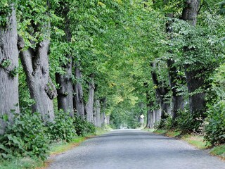 Casa per le vacanze Zudar Registrazione all'aperto 6