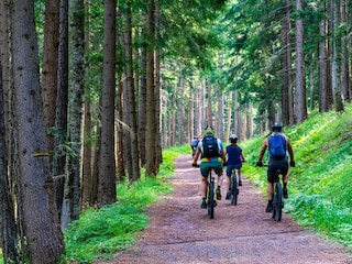 Riesiger MTB-Park. Radeln hält fit !