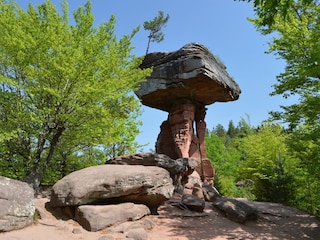 Der Teufelstisch. Felsenlandschaft um Dahn !